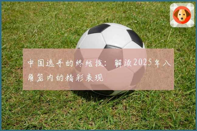 中国选手的终结技：解读2025年八角笼内的精彩表现