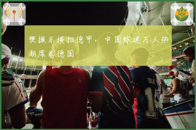 樊振东横扫德甲，中国球迷万人热潮席卷德国