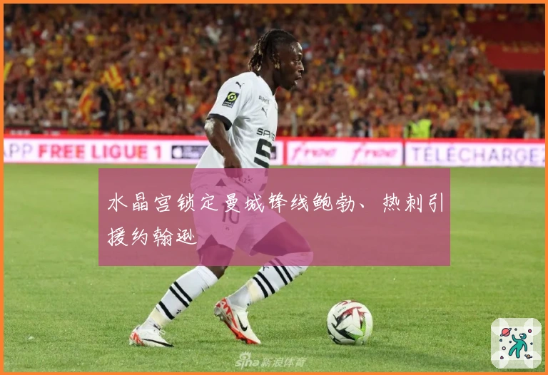 水晶宫锁定曼城锋线鲍勃、热刺引援约翰逊