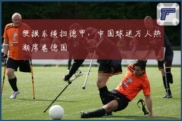 樊振东横扫德甲，中国球迷万人热潮席卷德国