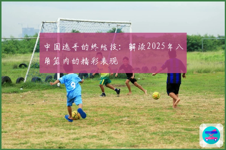 中国选手的终结技：解读2025年八角笼内的精彩表现